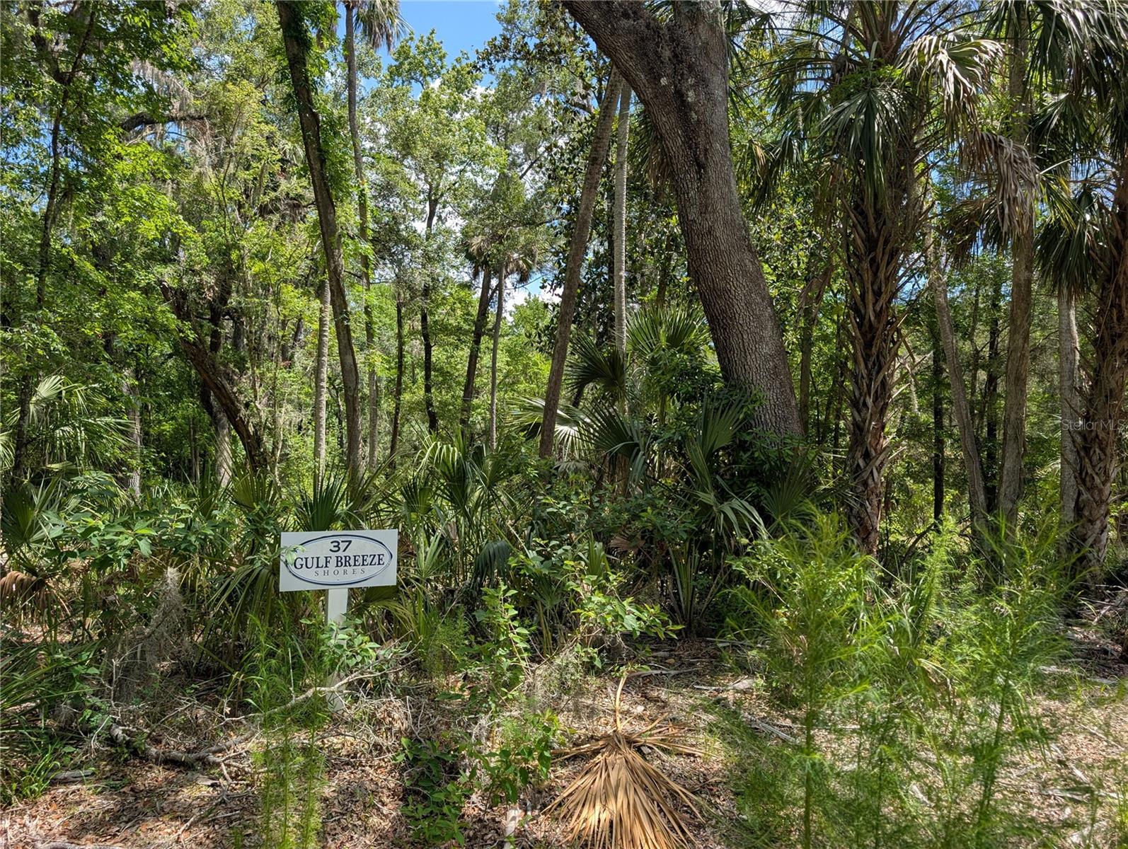 Image 2 of 5 For 13159 Gulf Shores Street