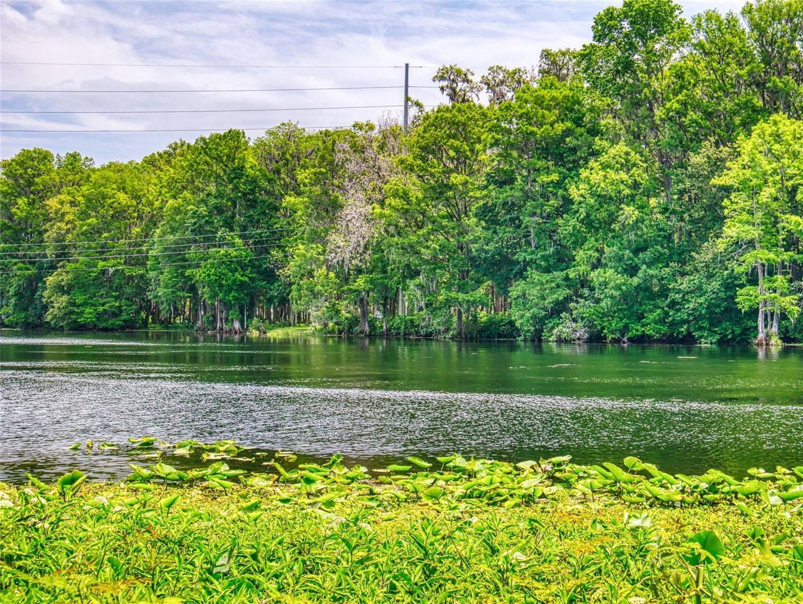 Image 40 of 57 For 12101 River View