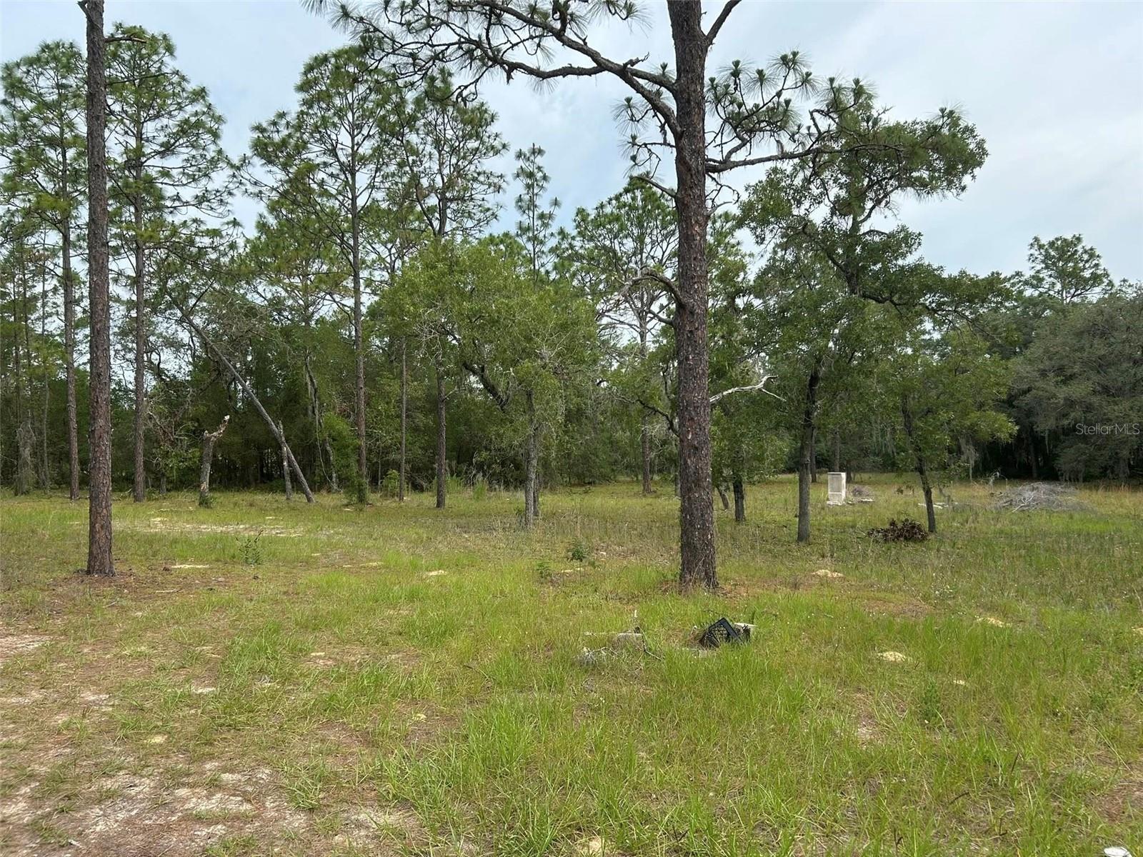 Image 3 of 26 For 2060 Mary Lue Street