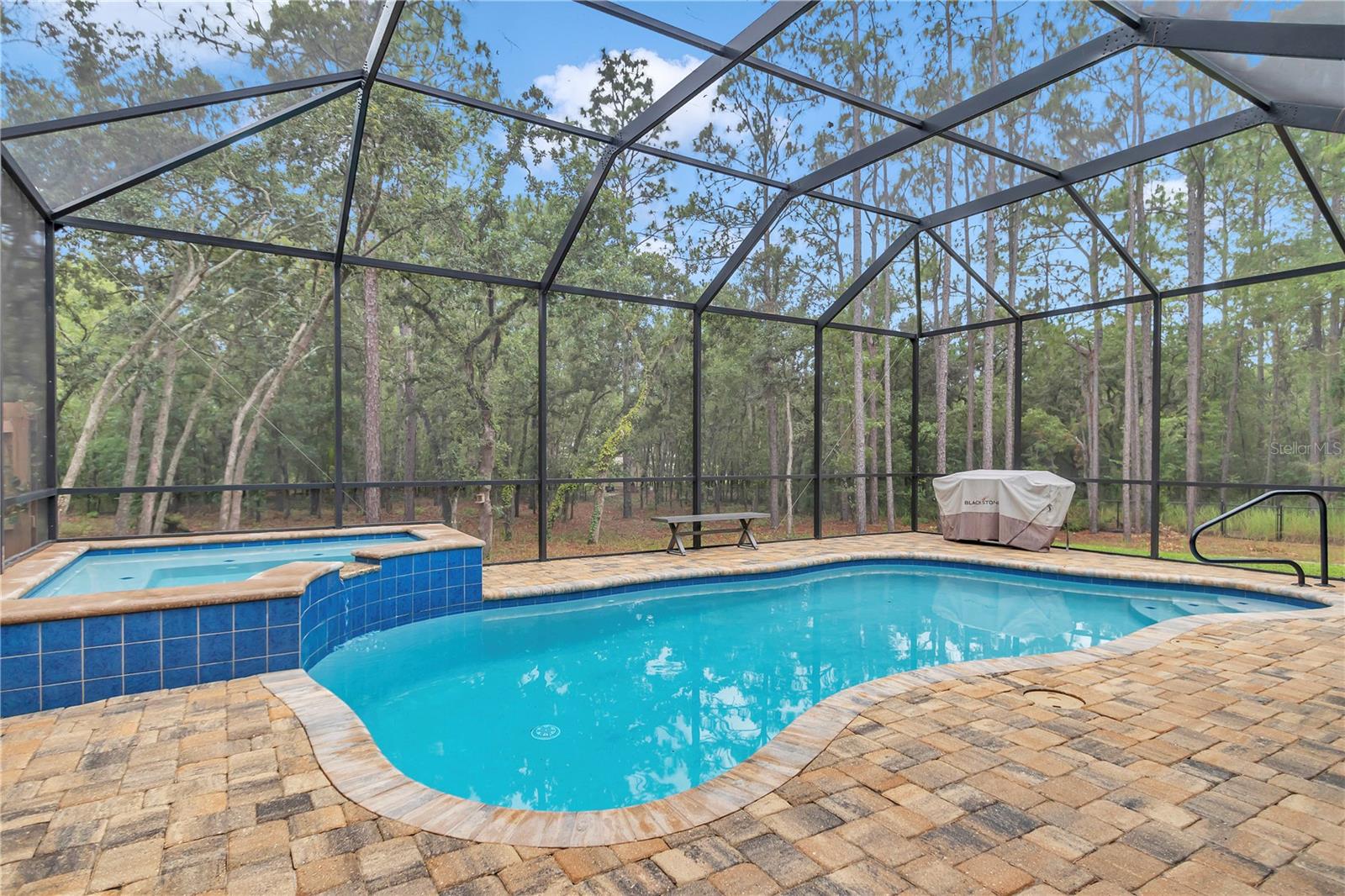 Listing photo id 43 for 3196 Mustang Boulevard