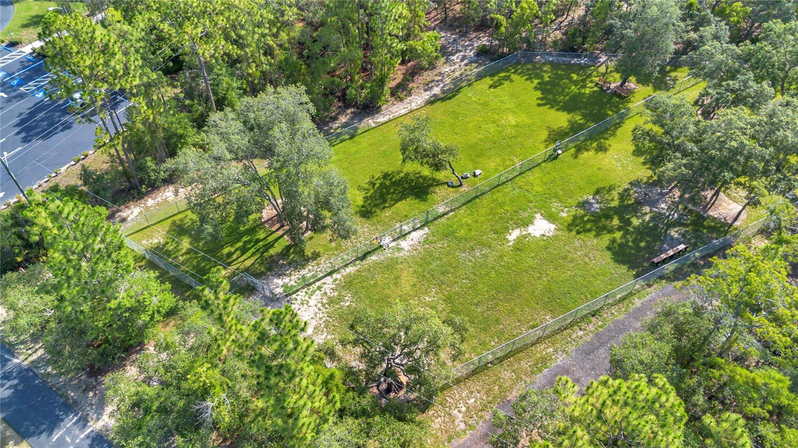 Listing photo id 64 for 3196 Mustang Boulevard