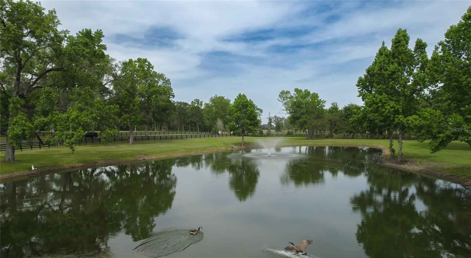 Image 3 of 20 For 13381 Hwy 40 (lot 12)