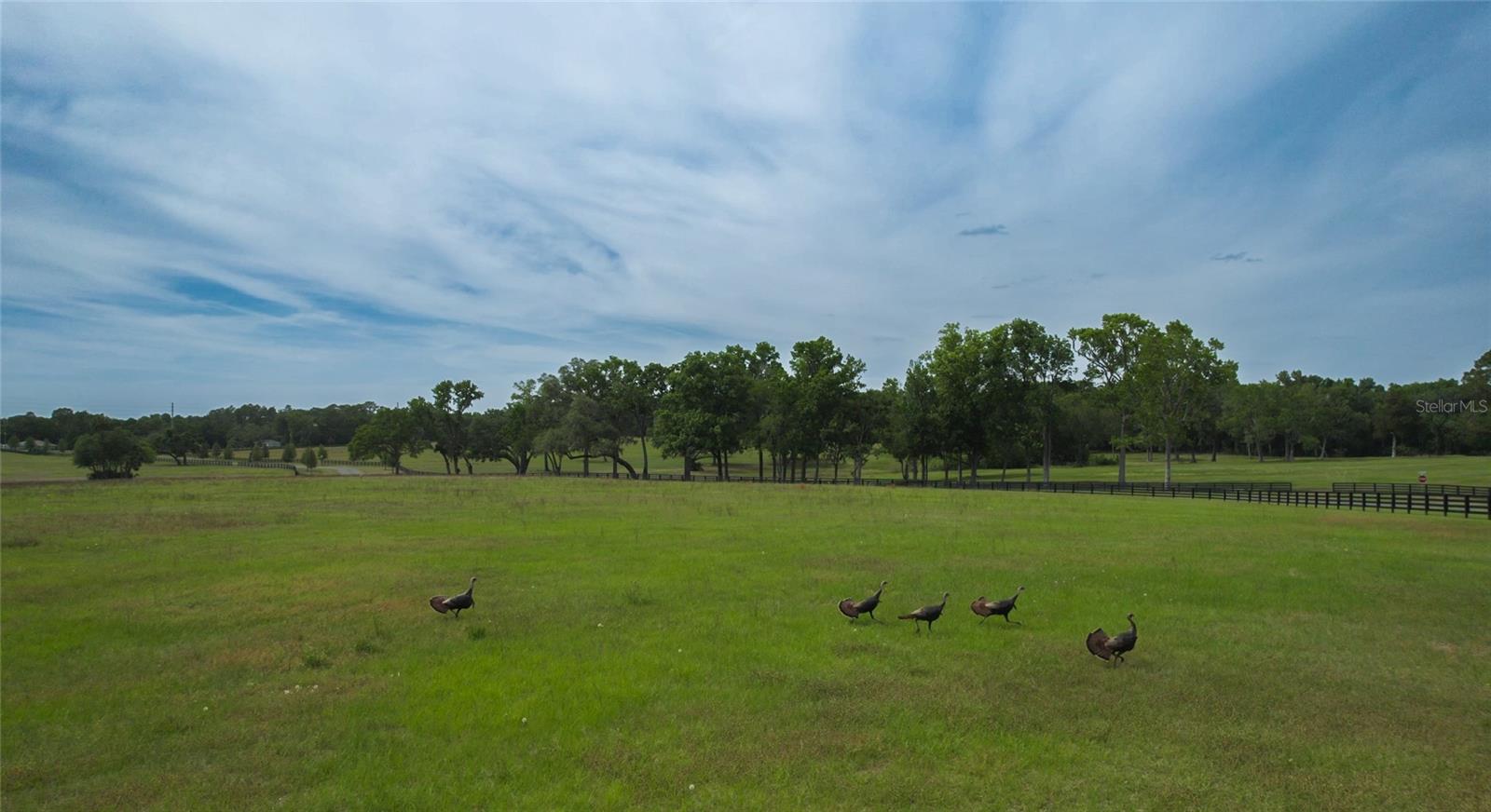 Image 6 of 20 For 13381 Hwy 40 (lot 12)