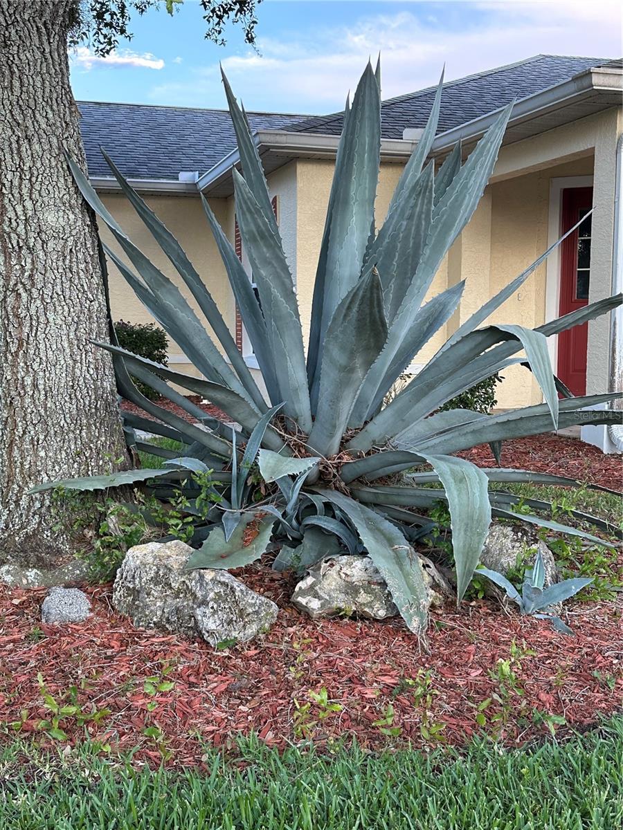 Image 39 of 83 For 9706 92nd Place Road