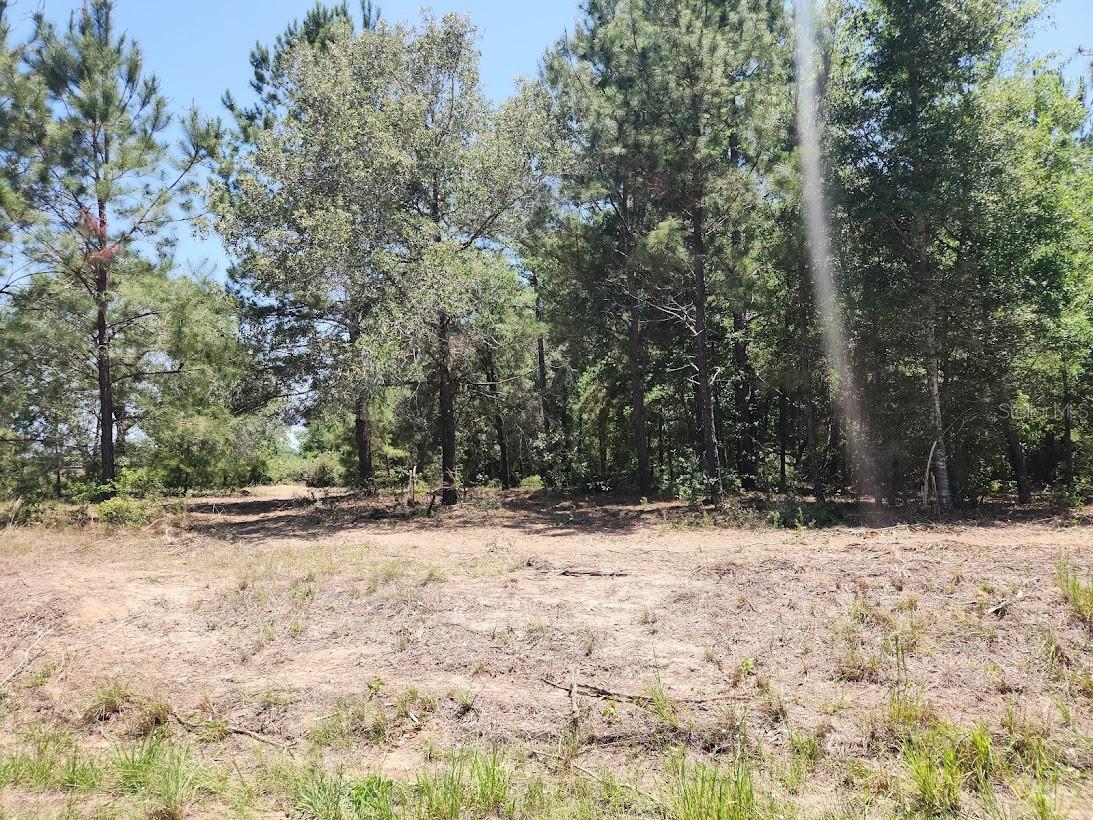 Image 21 of 28 For Lot 1 Pine Bluffs Road