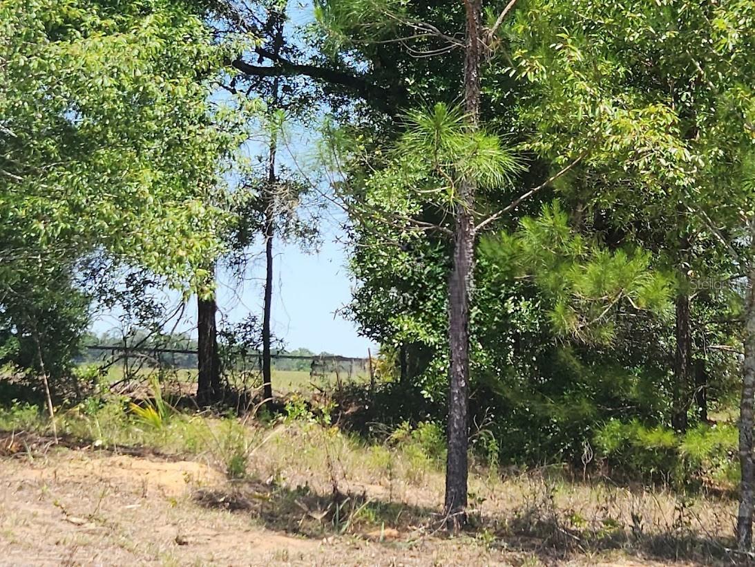 Image 24 of 28 For Lot 1 Pine Bluffs Road