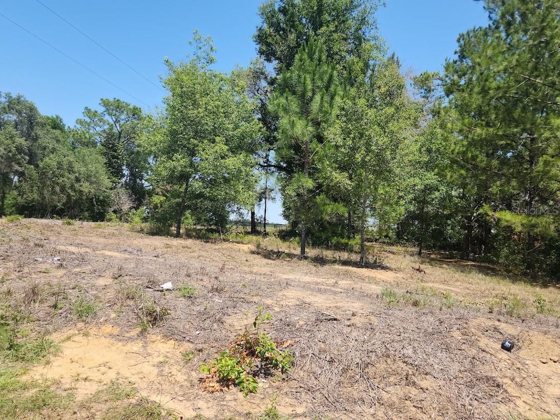 Image 25 of 28 For Lot 1 Pine Bluffs Road