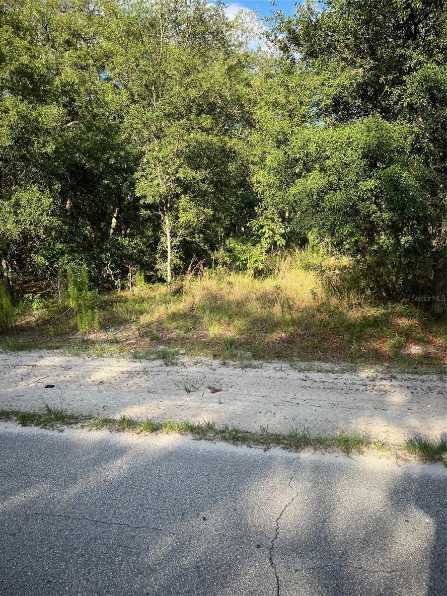 Listing Details for Sw 72nd Terrace, DUNNELLON, FL 34432
