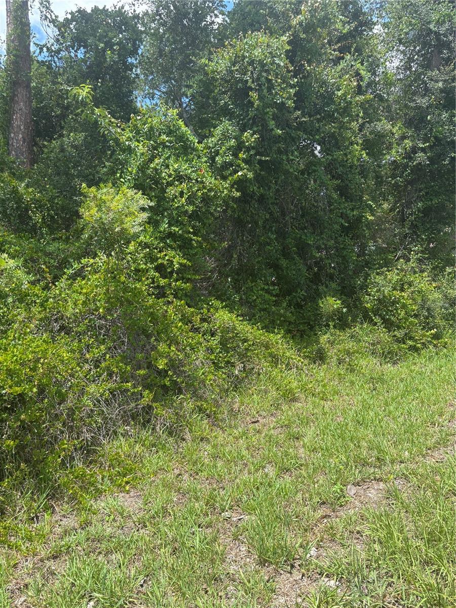 Details for 00 186th Court, OCKLAWAHA, FL 32179
