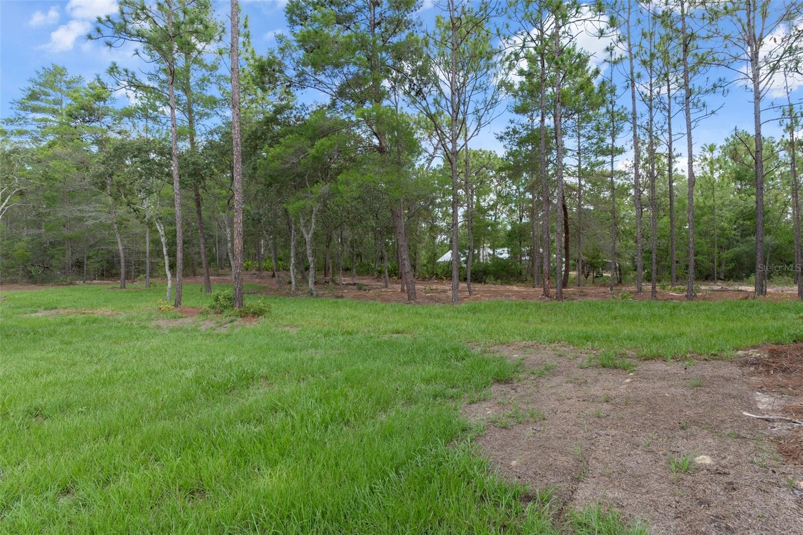 Image 57 of 64 For Address Not Provided