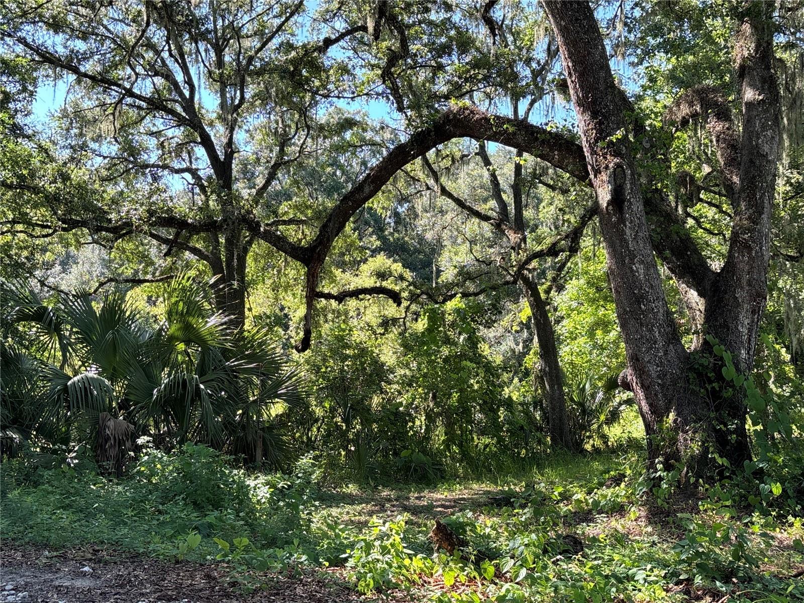 Details for 14155 47th Avenue, ANTHONY, FL 32617
