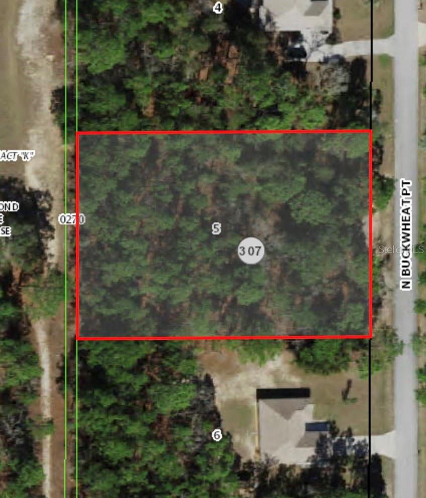 Details for 3916 Buckwheat Point, BEVERLY HILLS, FL 34465