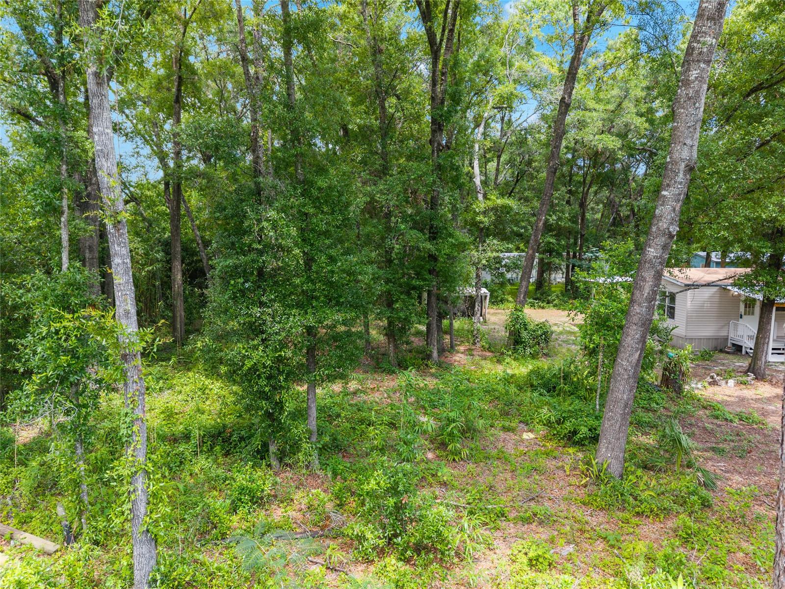 Image 64 of 77 For 1131 112th Avenue