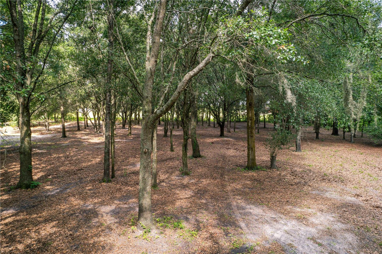Image 88 of 100 For 1424 Us 301  
