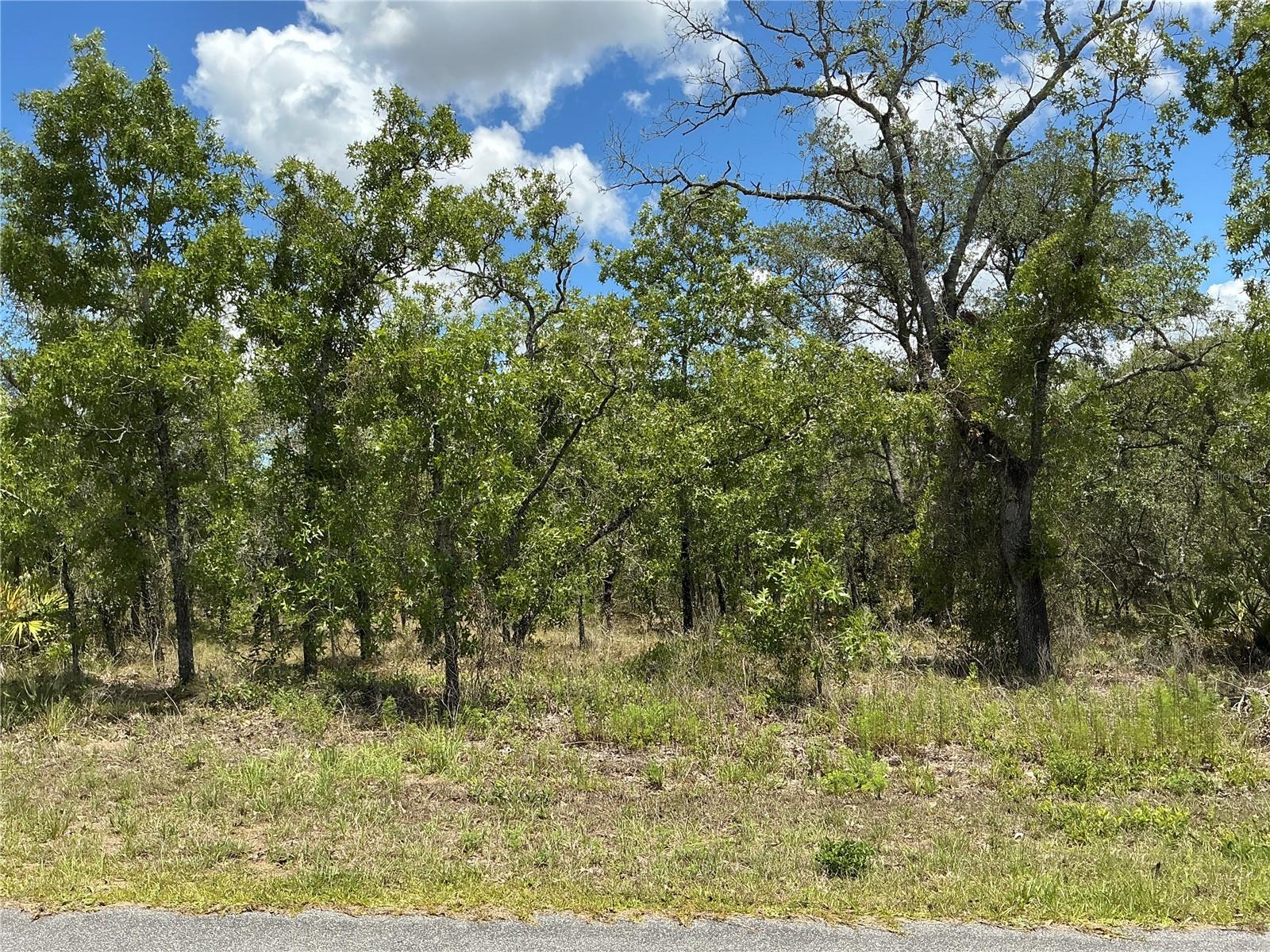 Details for 13022 Jaywalk Road, WEEKI WACHEE, FL 34614