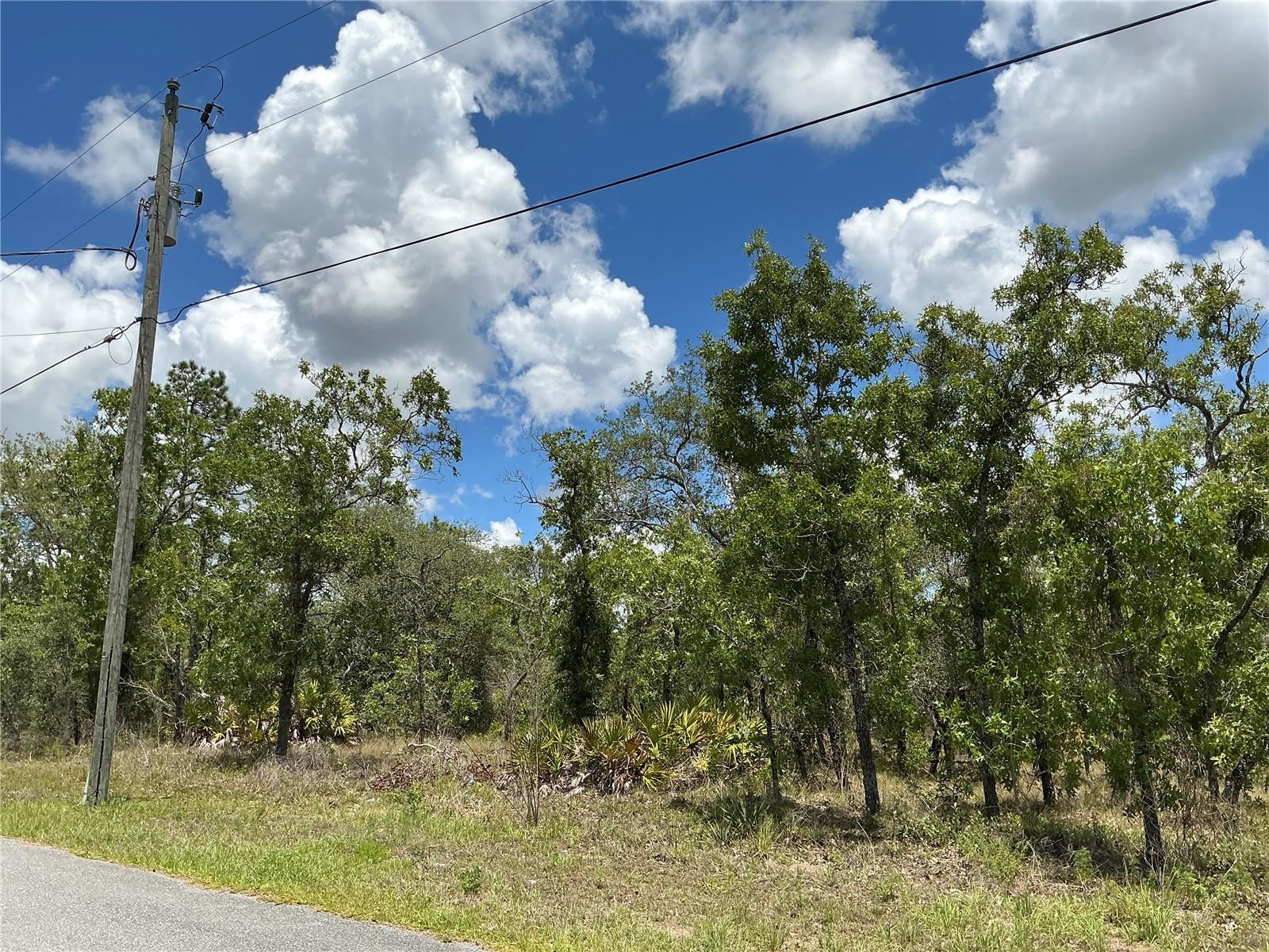 Image 2 of 5 For 13022 Jaywalk Road