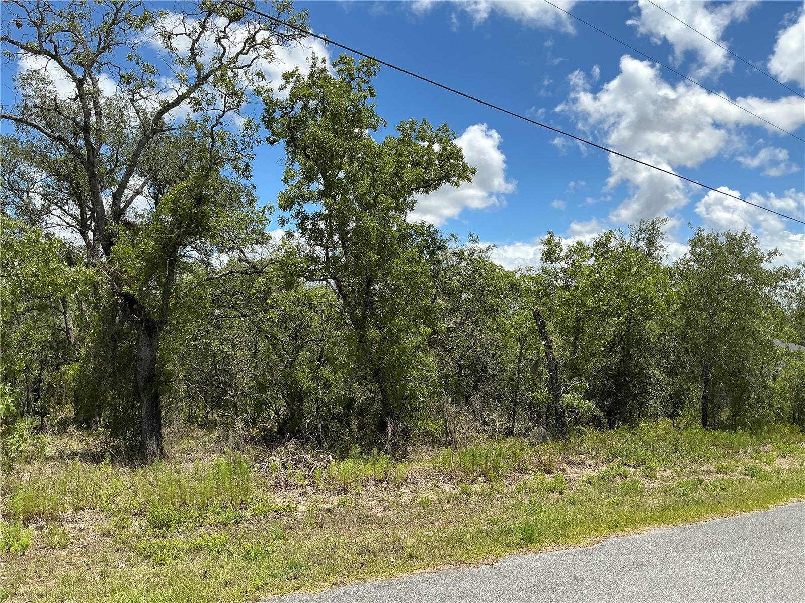 Image 3 of 5 For 13022 Jaywalk Road