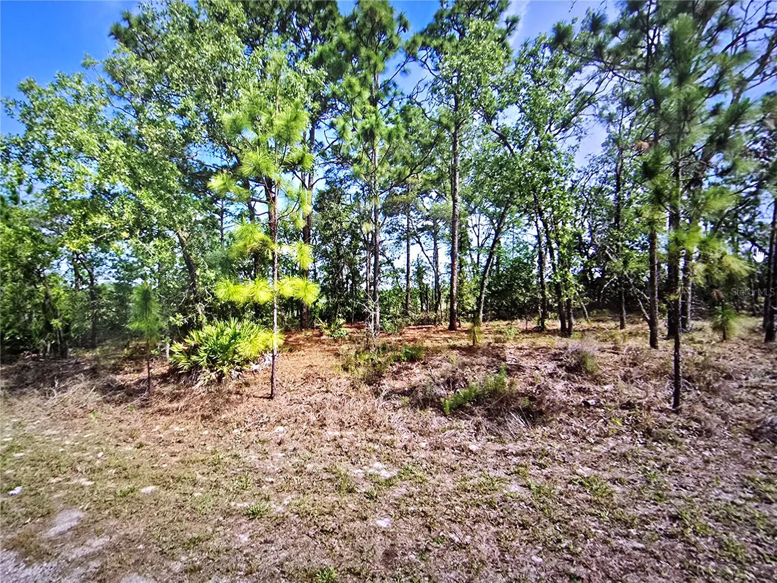 Image 3 of 5 For 6745 Darlington Drive