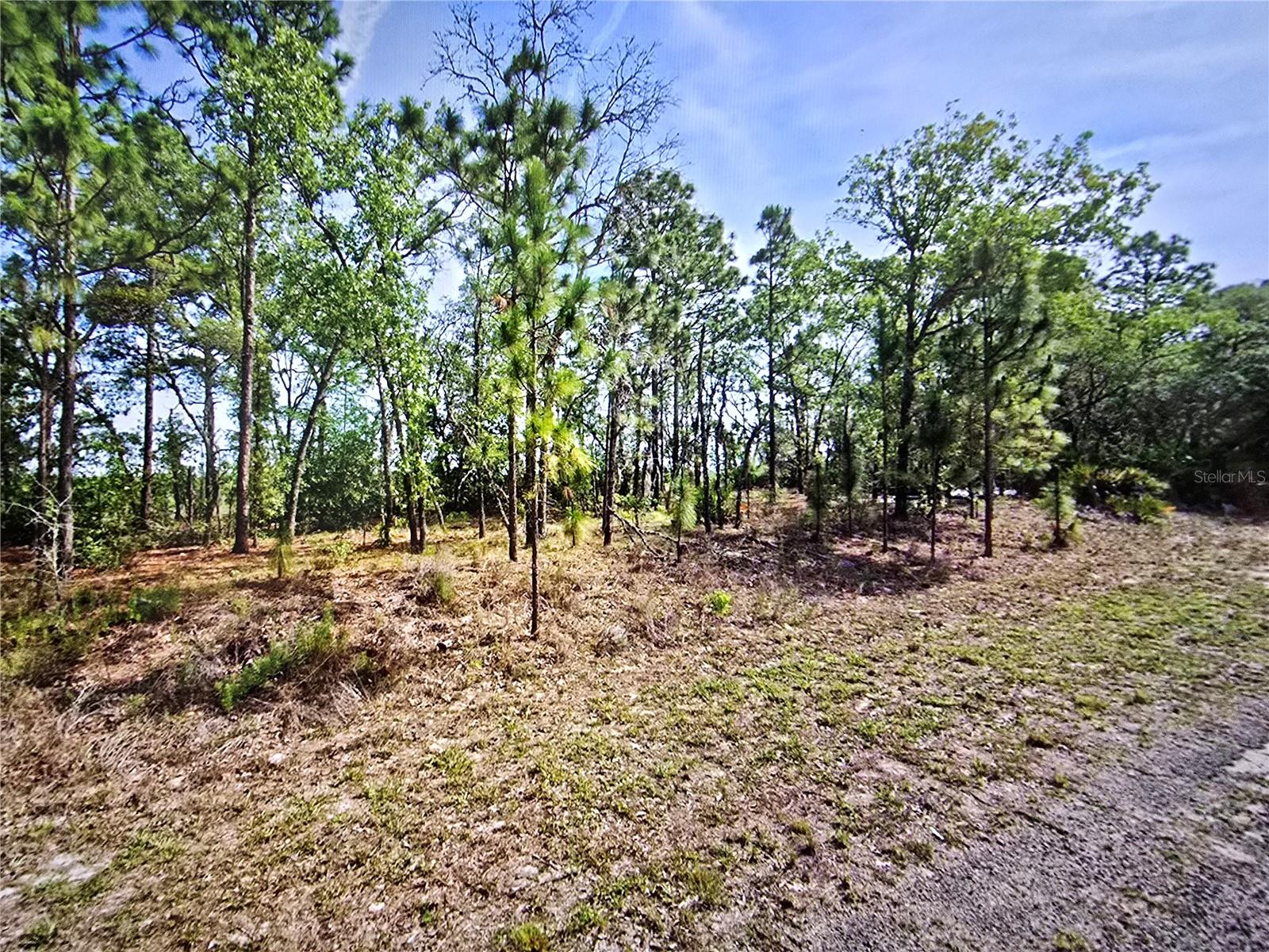 Image 4 of 5 For 6745 Darlington Drive