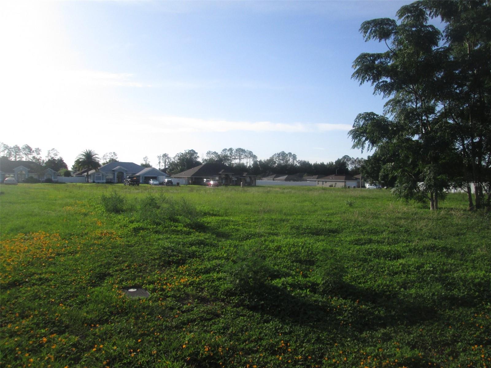Details for Tbd 68th Court, BELLEVIEW, FL 34420