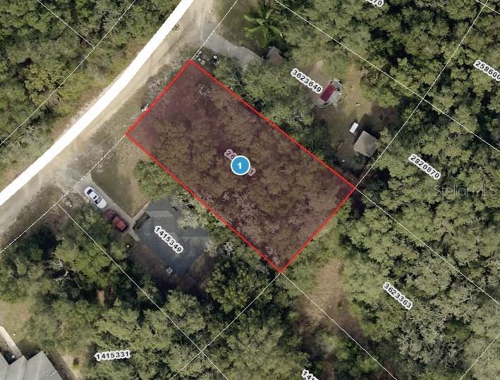 Details for  Palm Street , LADY LAKE, FL 32159