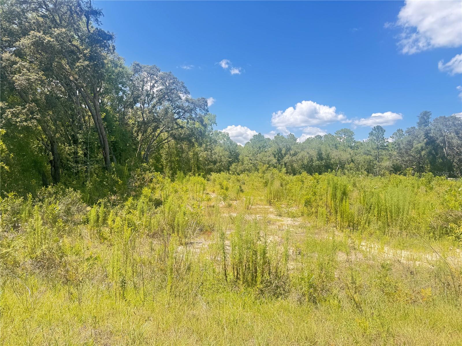 Details for Tbd 91 Lane , DUNNELLON, FL 34432