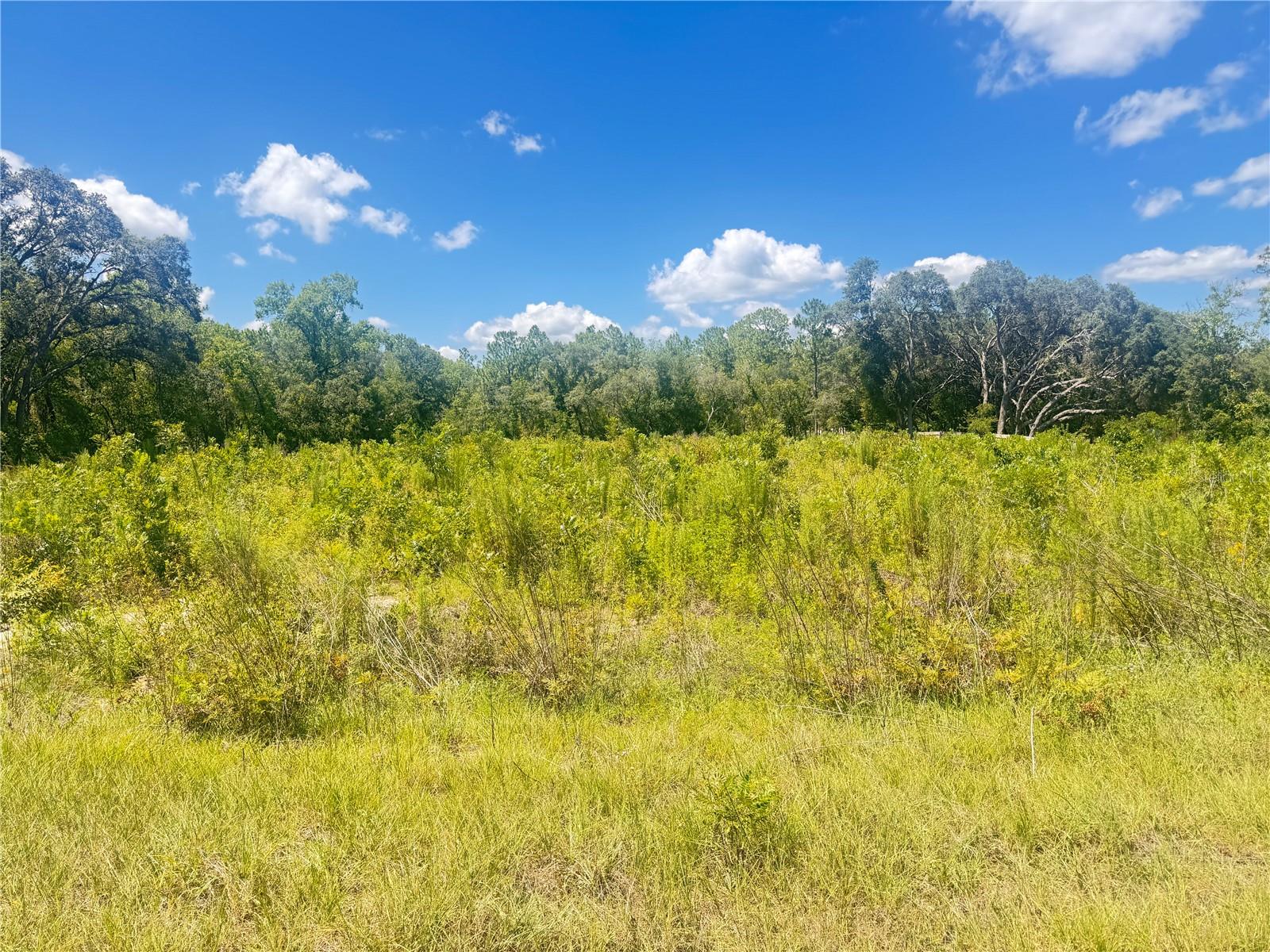 Image 5 of 9 For Tbd 91 Lane 