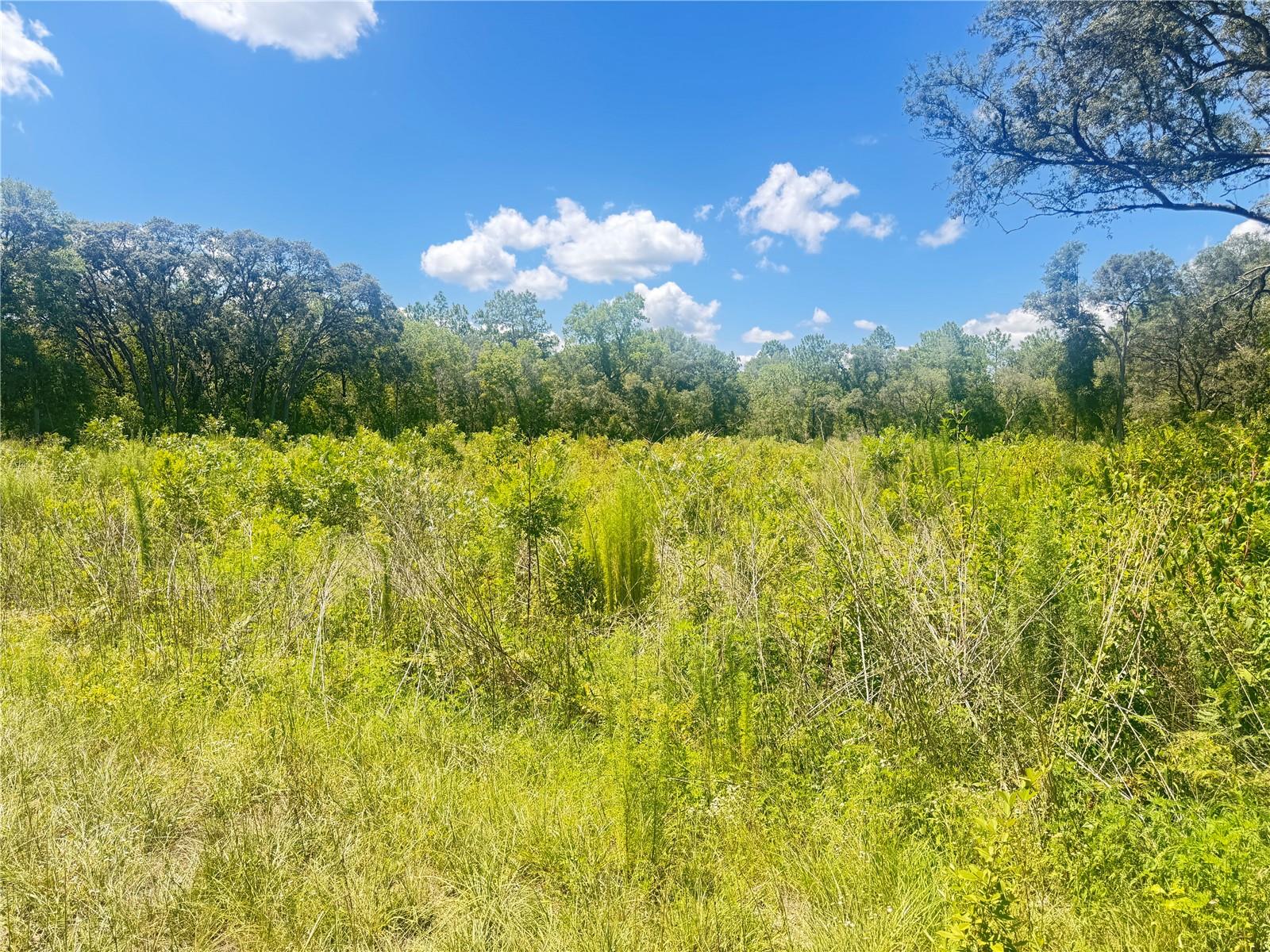 Image 6 of 9 For Tbd 91 Lane 