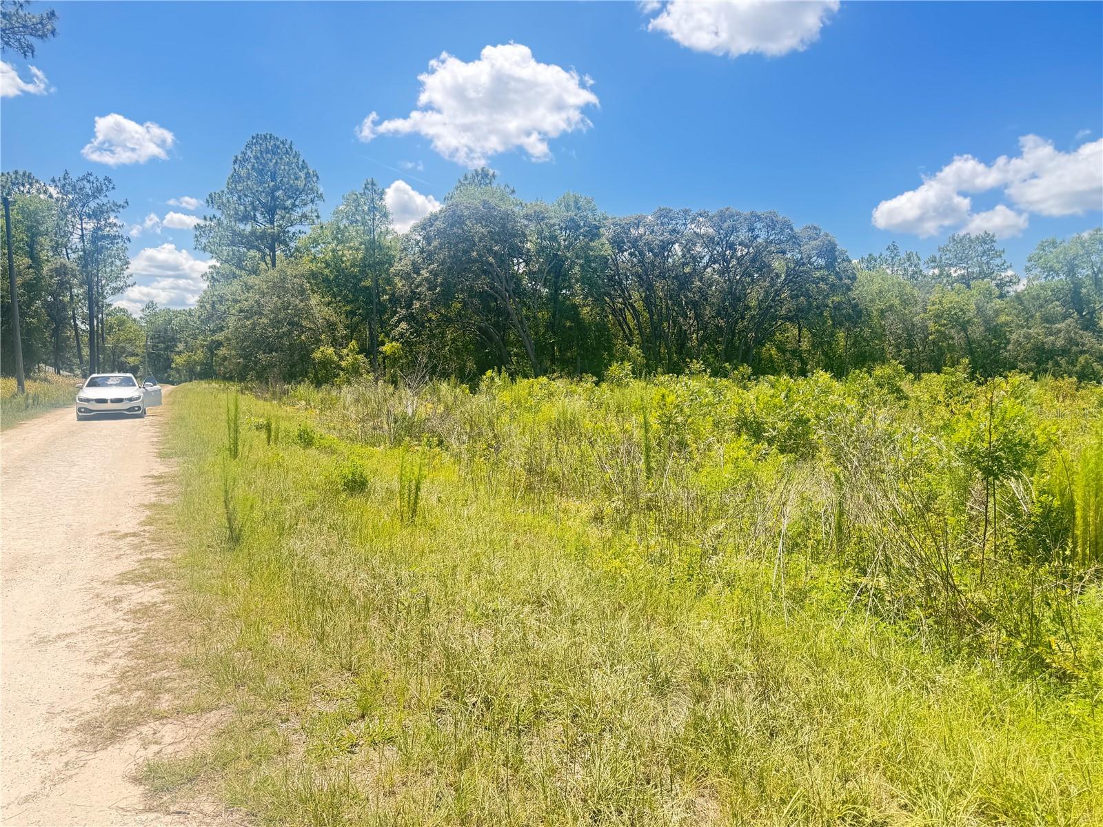 Image 8 of 9 For Tbd 91 Lane 