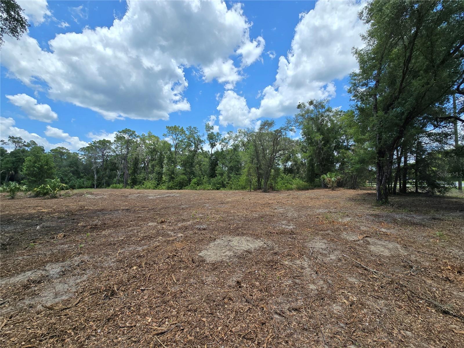 Image 10 of 21 For 7103 Lecanto Highway