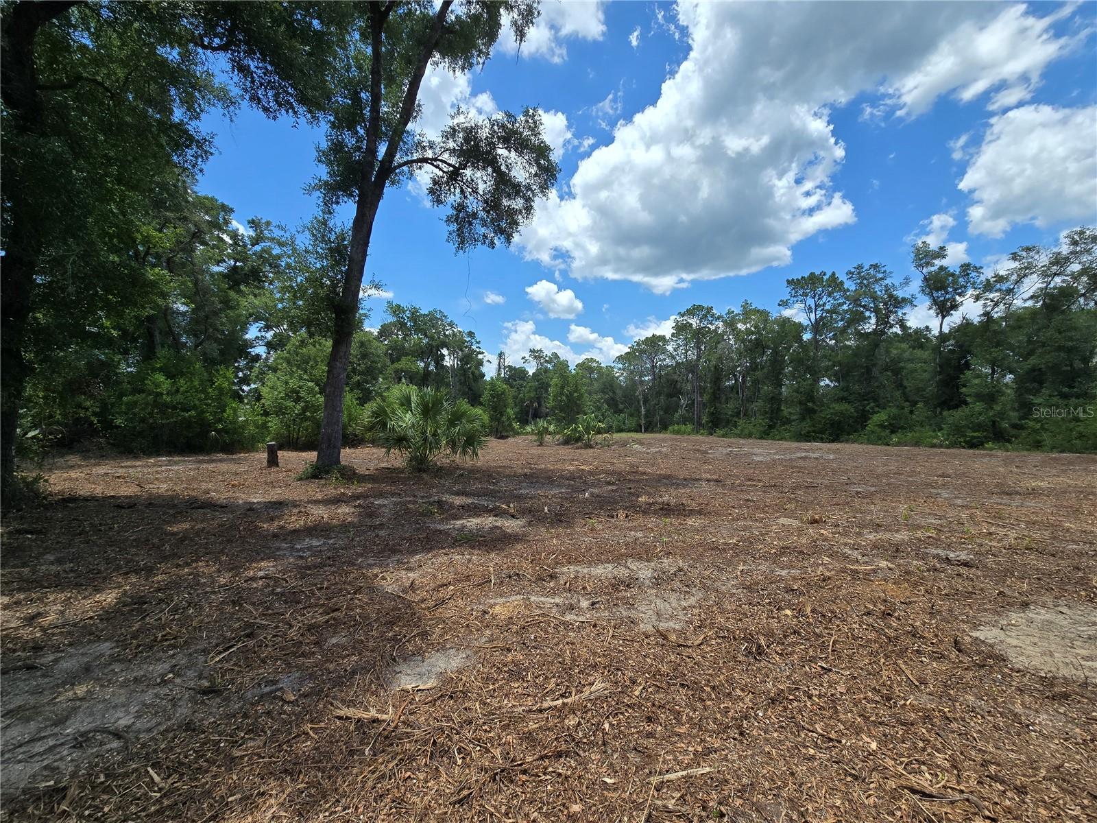 Image 11 of 21 For 7103 Lecanto Highway