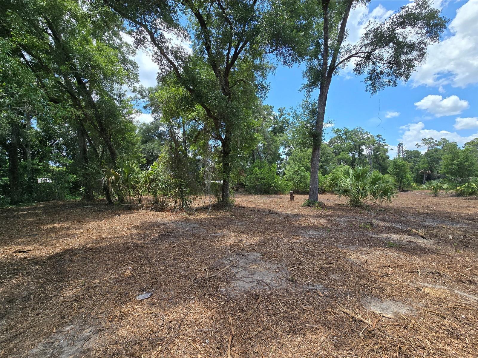 Image 12 of 21 For 7103 Lecanto Highway