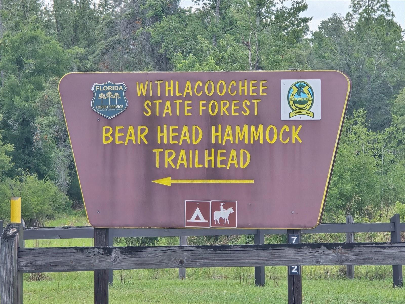 Image 16 of 21 For 7103 Lecanto Highway