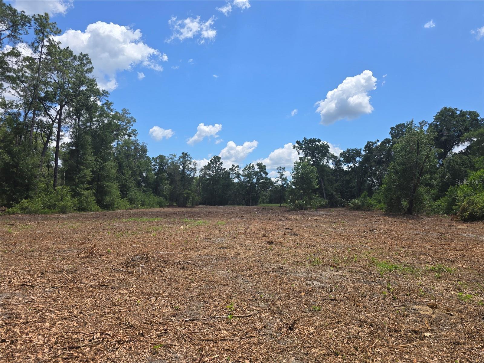 Image 2 of 21 For 7103 Lecanto Highway