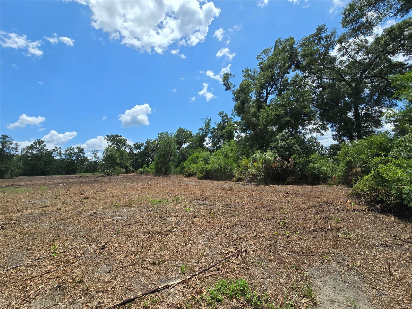 Image 4 of 21 For 7103 Lecanto Highway