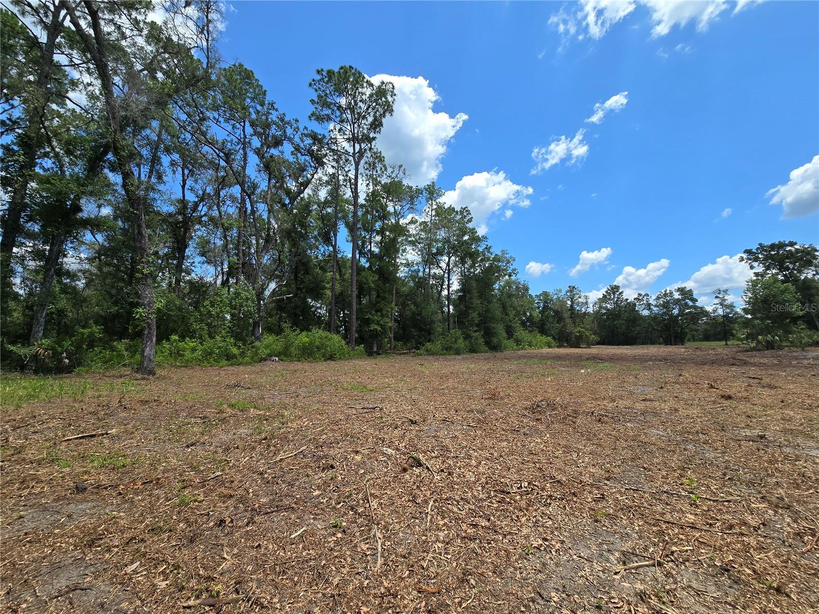 Image 5 of 21 For 7103 Lecanto Highway
