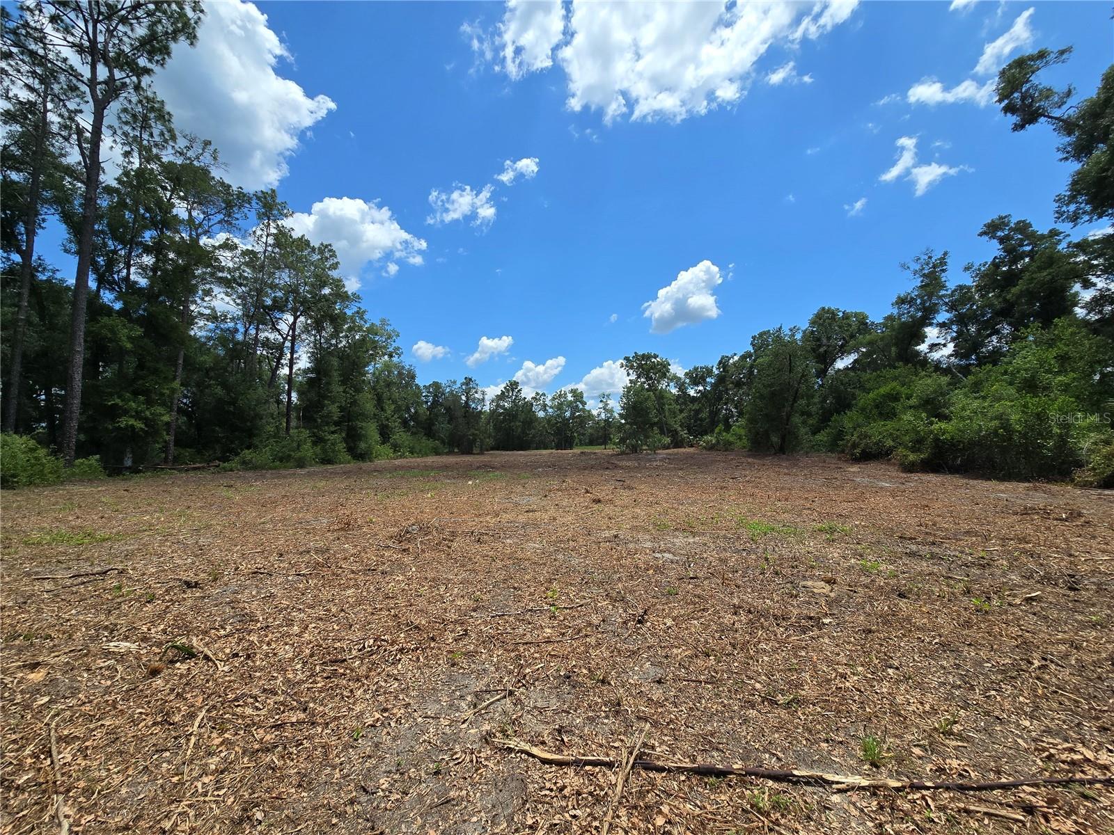 Image 6 of 21 For 7103 Lecanto Highway
