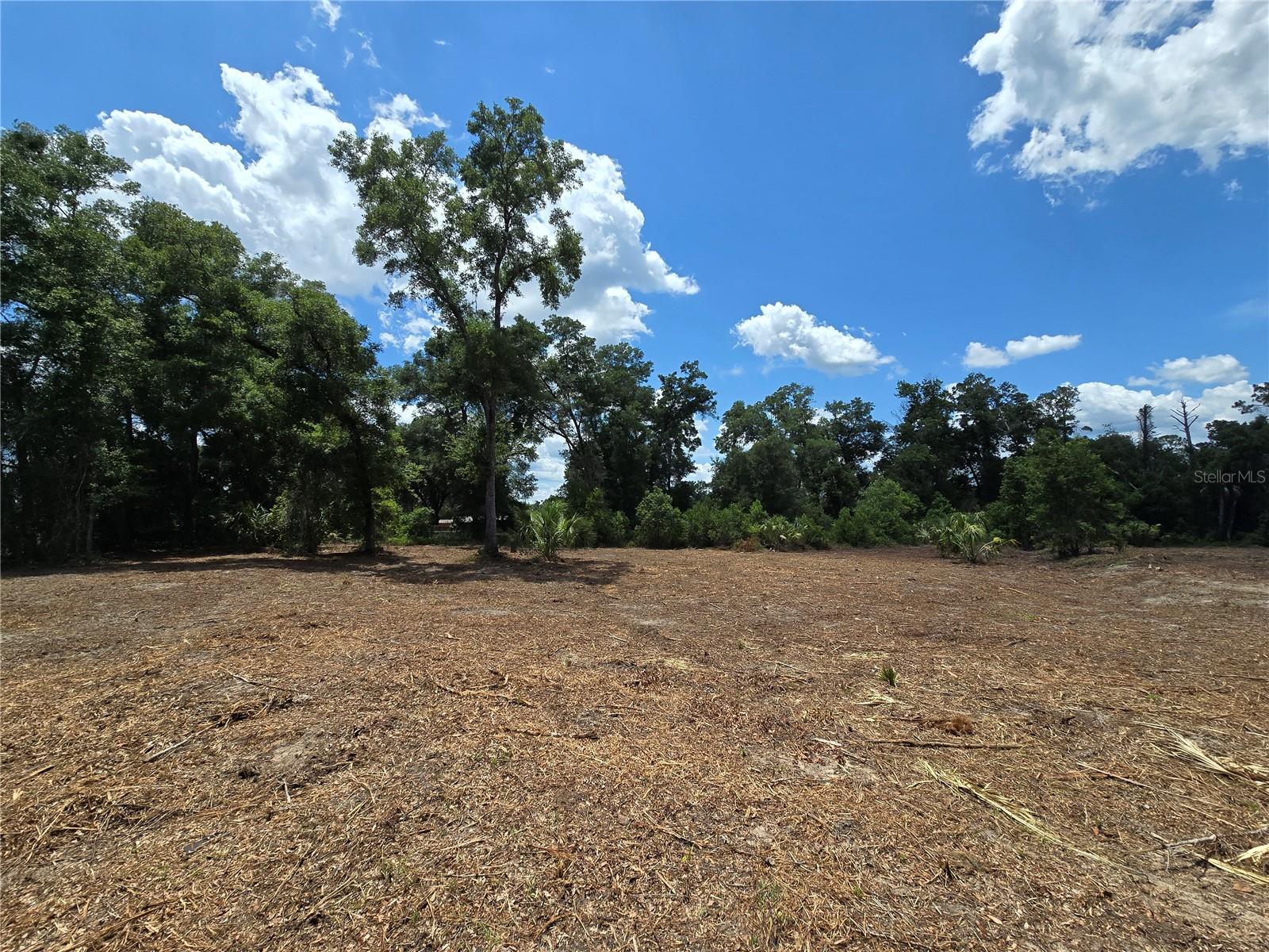 Image 7 of 21 For 7103 Lecanto Highway