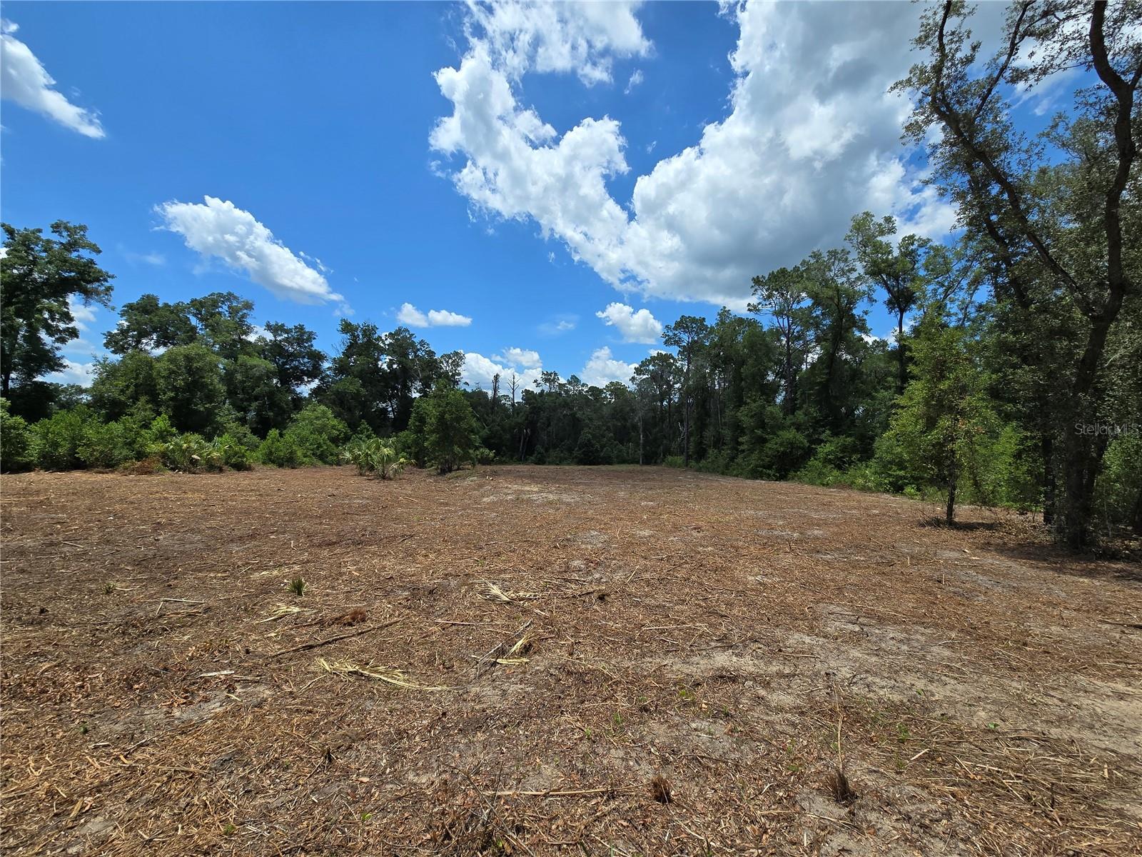 Image 8 of 21 For 7103 Lecanto Highway