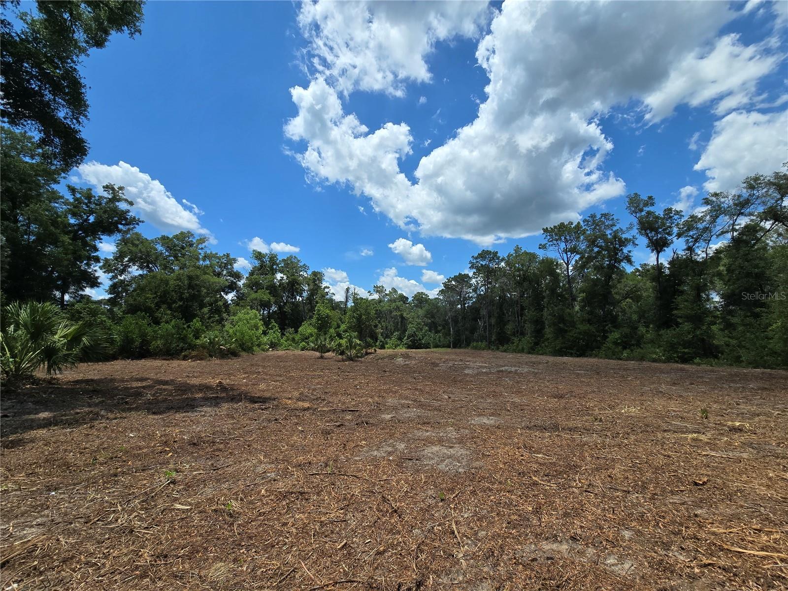 Image 9 of 21 For 7103 Lecanto Highway