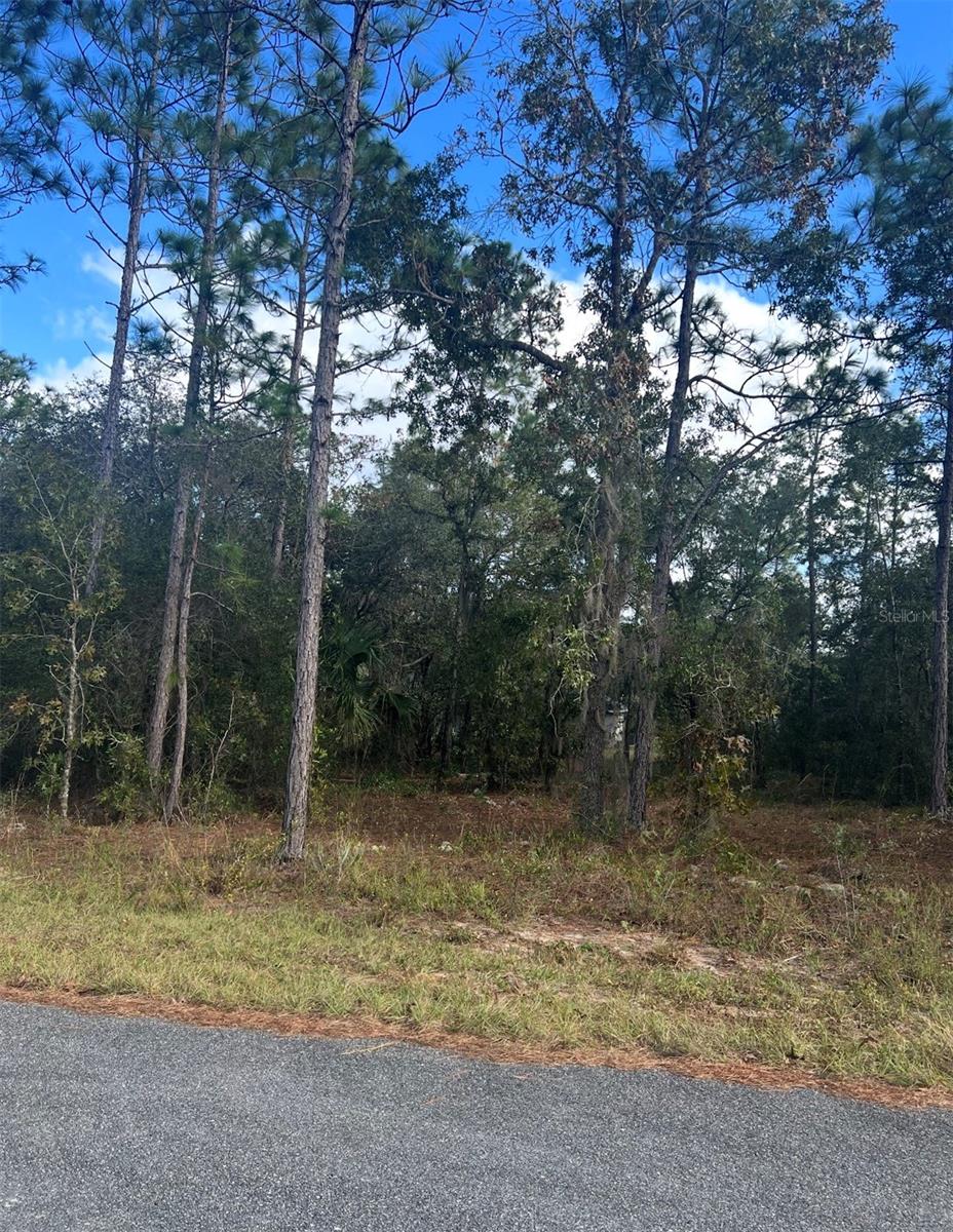 Details for Tbd Locust Loop Place Lot 7, OCALA, FL 34472