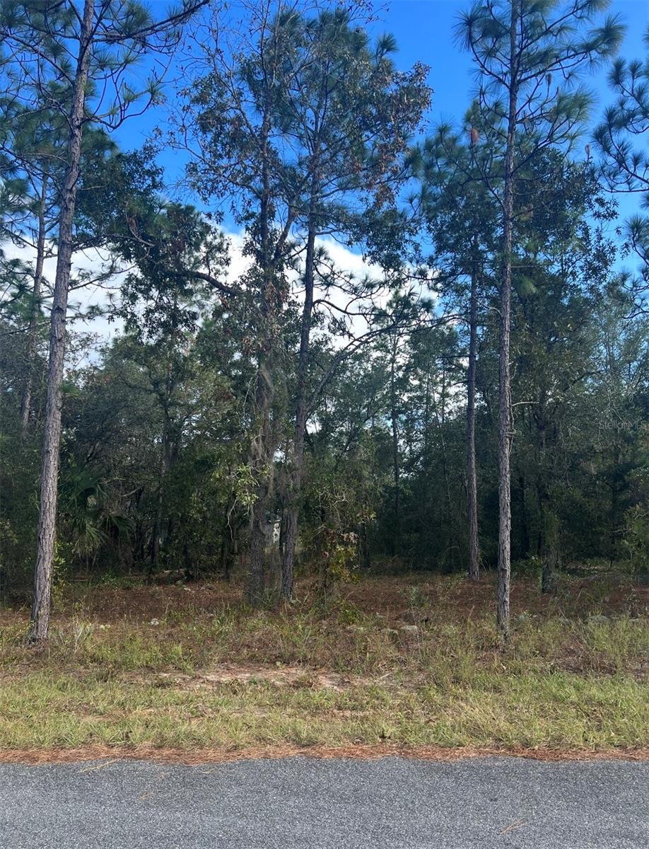 Image 3 of 5 For Tbd Locust Loop Place Lot 7