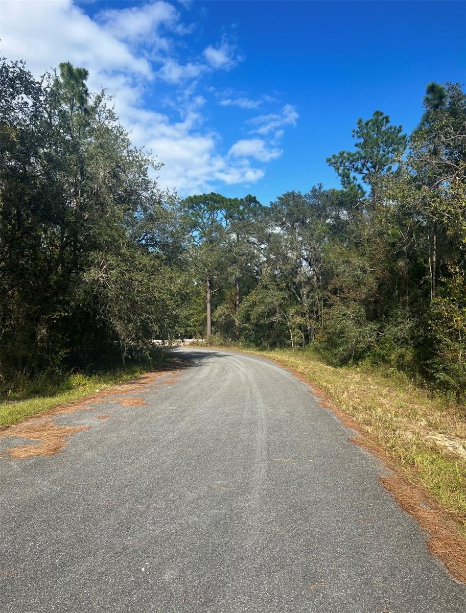 Image 4 of 5 For Tbd Locust Loop Place Lot 7