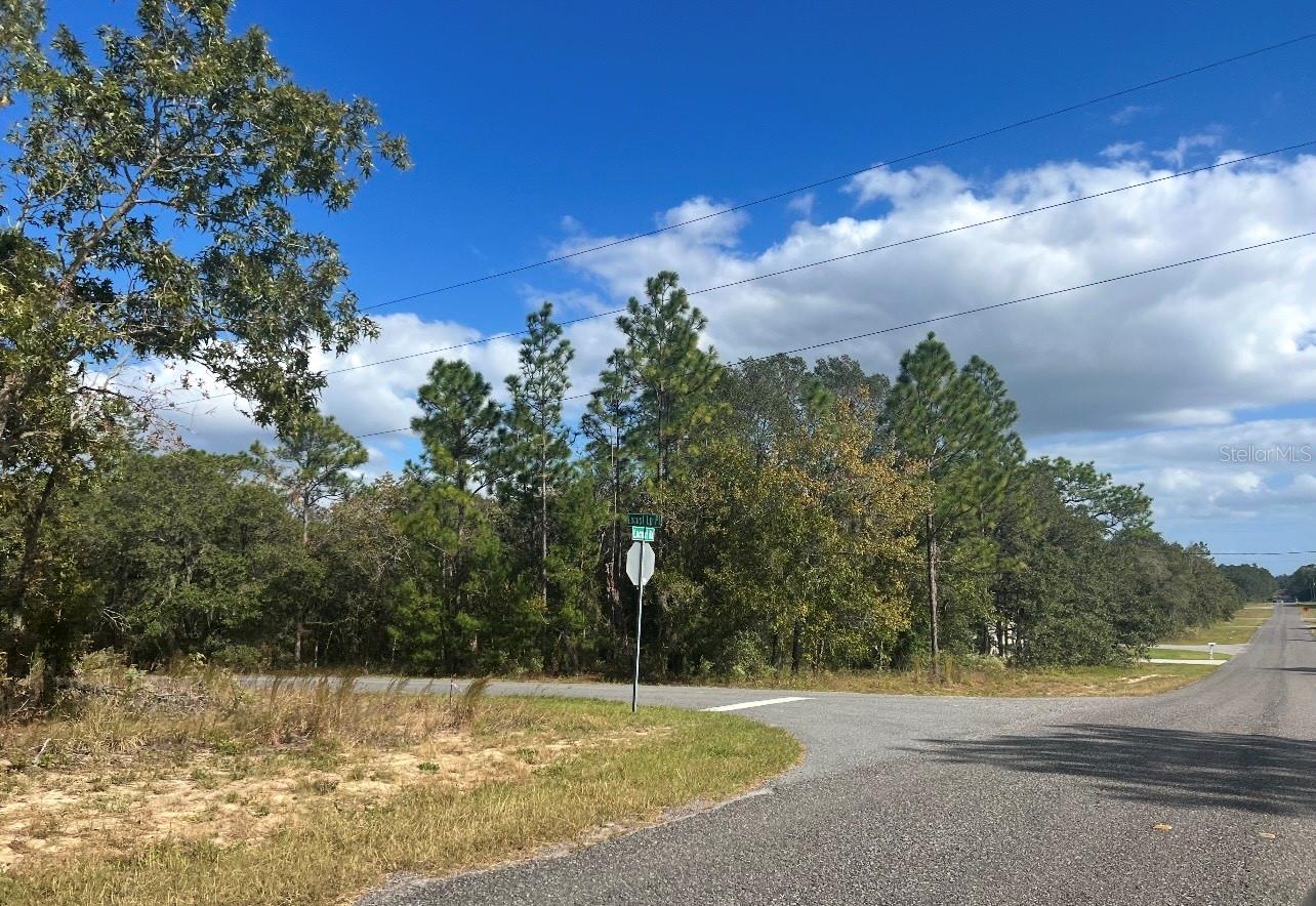 Image 5 of 5 For Tbd Locust Loop Place Lot 7