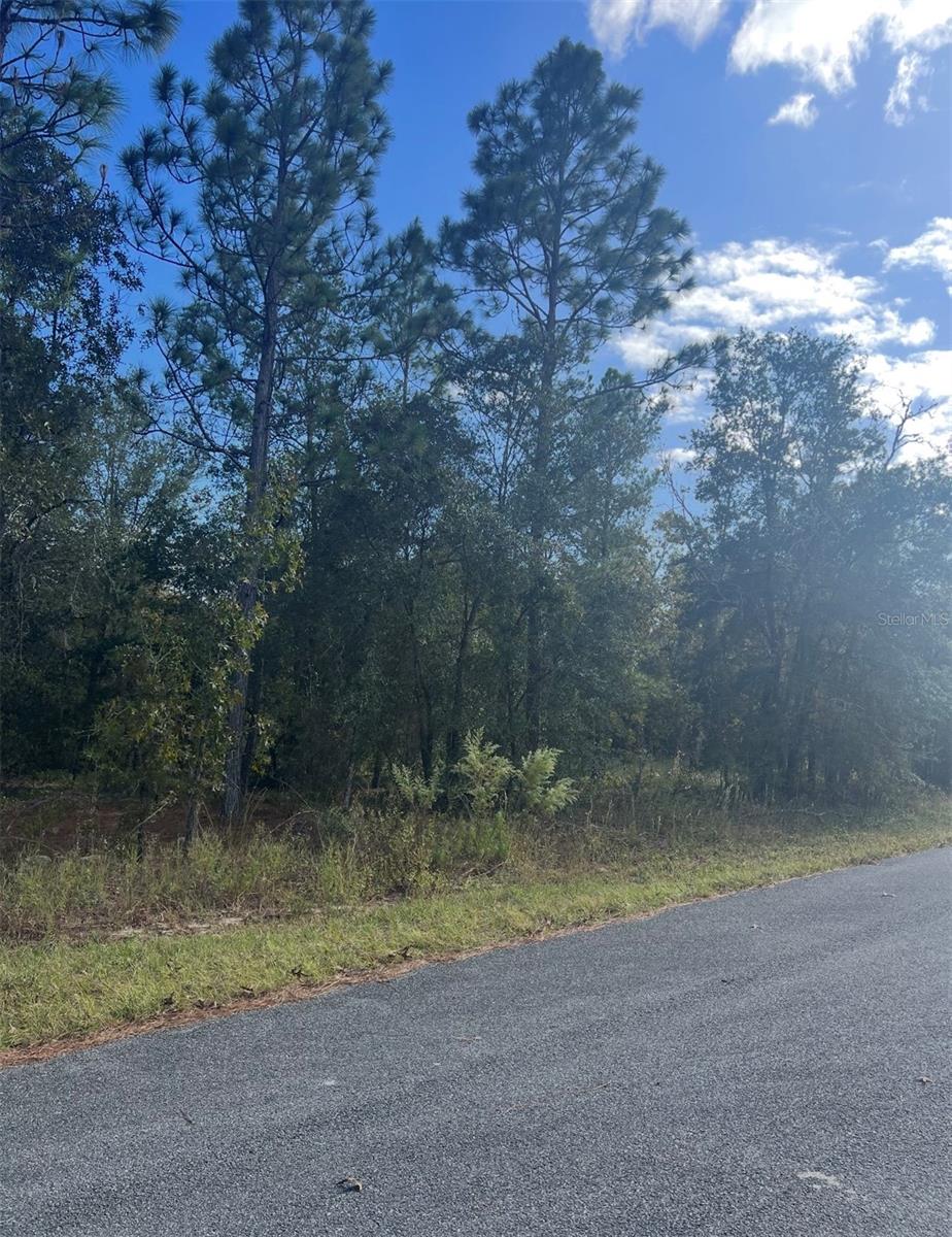 Image 4 of 4 For Tbd Locust Loop Place Lot 8