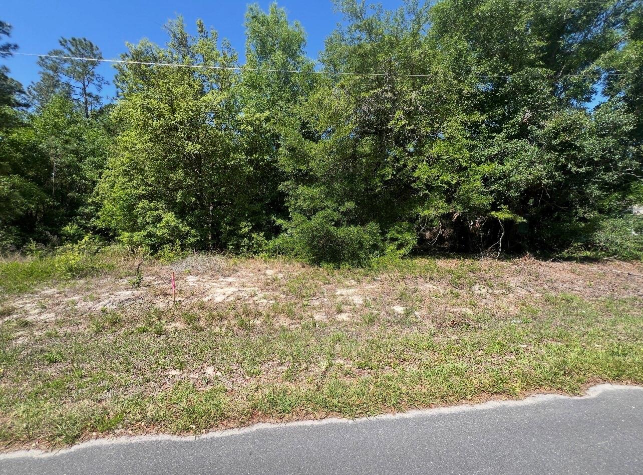 Details for Tbd Locust Course Radial Lot 20, OCALA, FL 34472