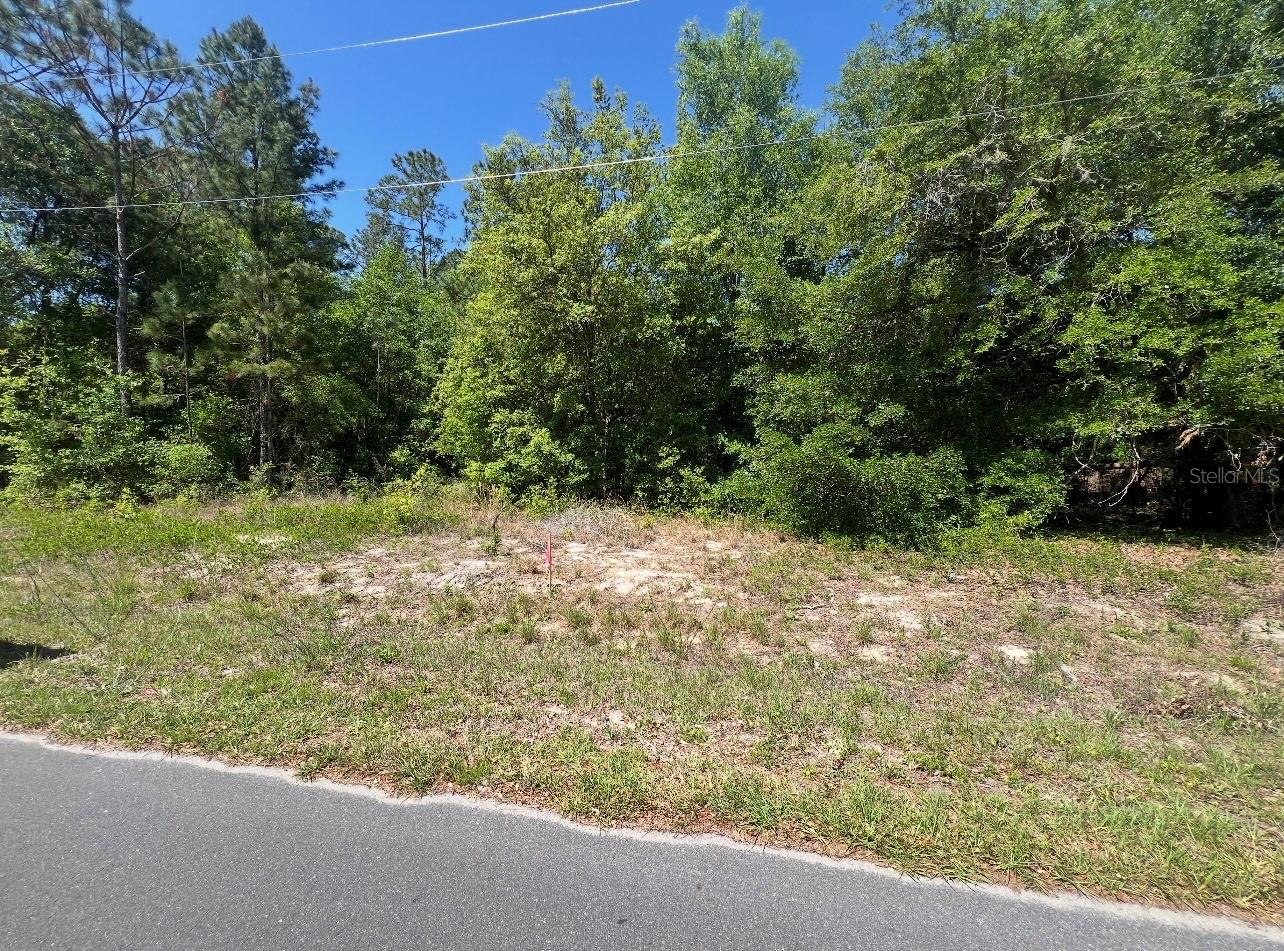 Image 3 of 6 For Tbd Locust Course Radial Lot 20