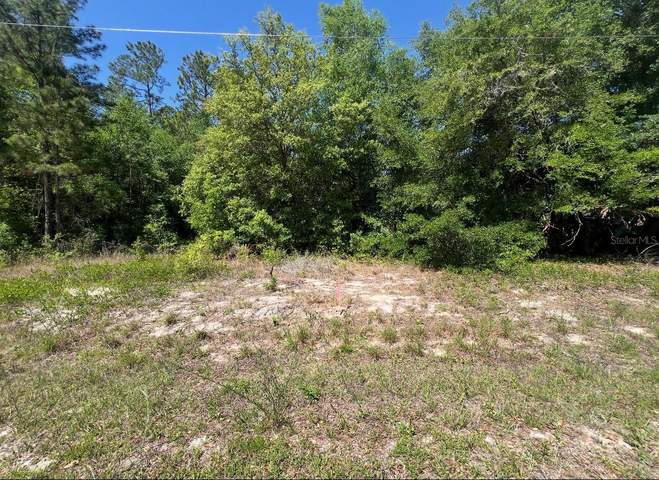 Image 4 of 6 For Tbd Locust Course Radial Lot 20
