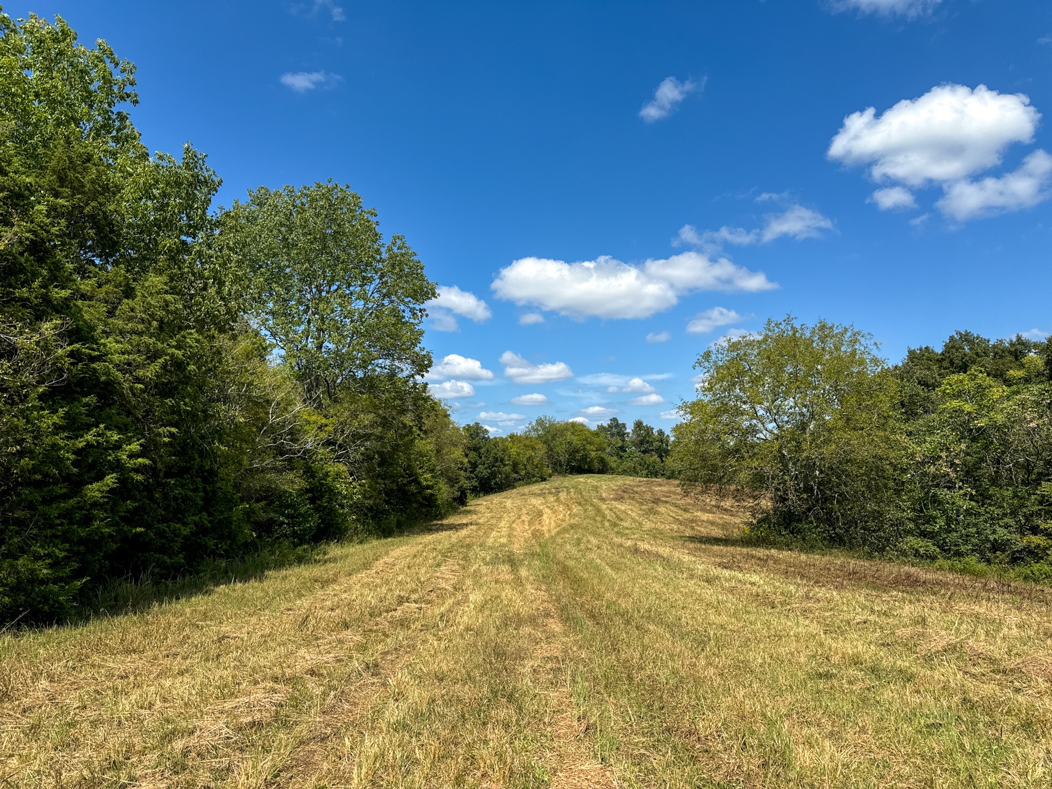 Image 16 of 36 For 0 Knob Creek Rd