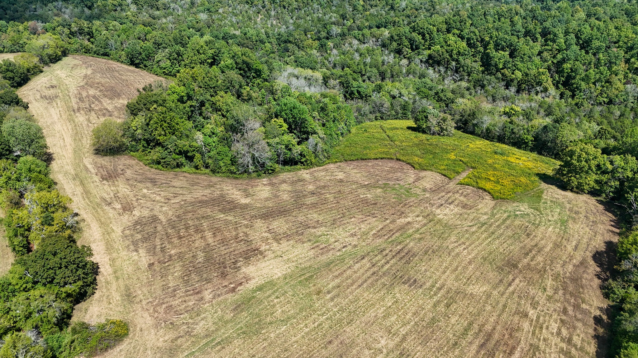 Image 8 of 36 For 0 Knob Creek Rd